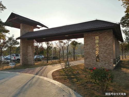 91社区入口,解锁全新社交体验之旅