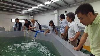 达丰91d助理技术员,技术革新背后的默默奉献者